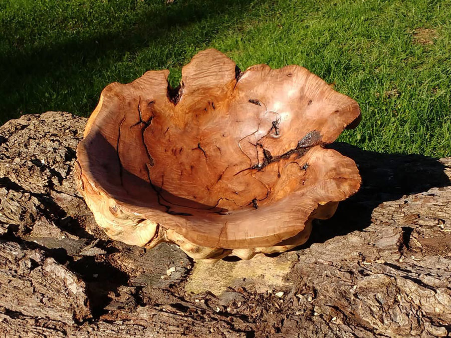 Burls & Wood Carvings